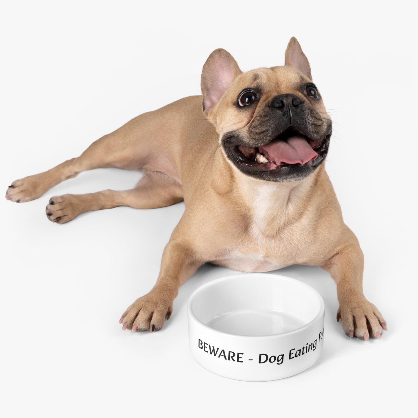 Pet Bowl for your Dog