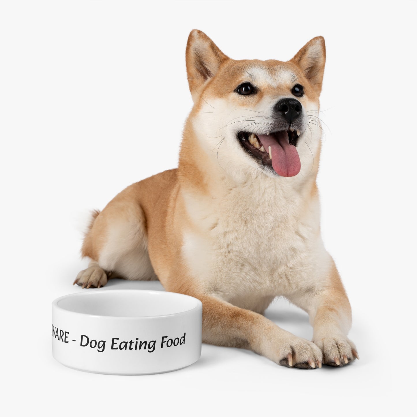 Pet Bowl for your Dog